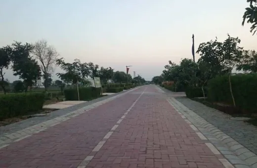  113 Sq. Yards Residential Plot for Sale in Sector 14, Sohna Road, Gurgaon