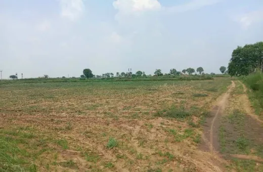  2420 Sq. Yards Agricultural/Farm Land for Sale in Farrukhnagar, Gurgaon