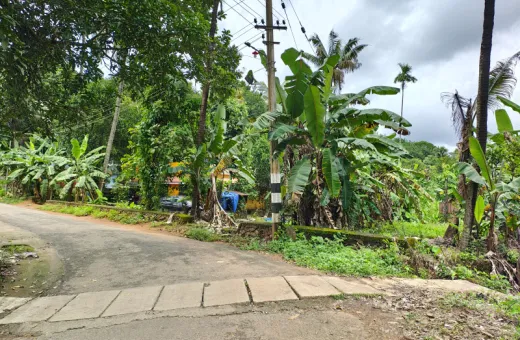  25 Cent Residential Plot for Sale in Angamaly, Ernakulam