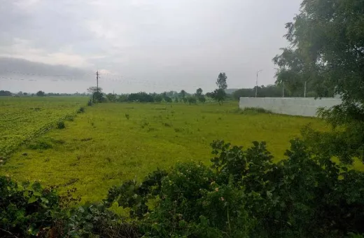  60985 Sq.ft. Agricultural/Farm Land for Sale in Parasia, Chhindwara
