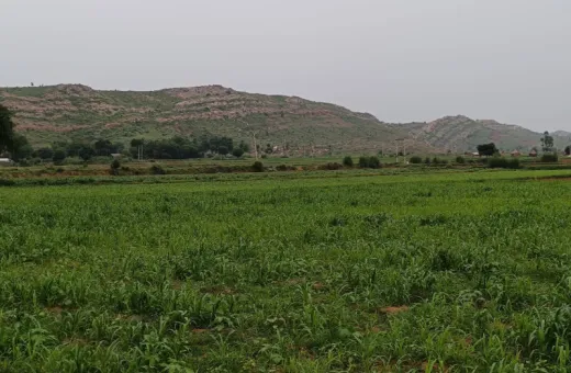 4.5 BHK 150 Bigha Farm House for Sale in Ramgarh, Alwar