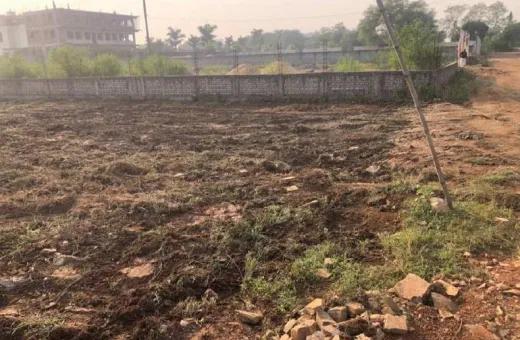  1500 Sq.ft. Residential Plot for Sale in Mopka, Bilaspur