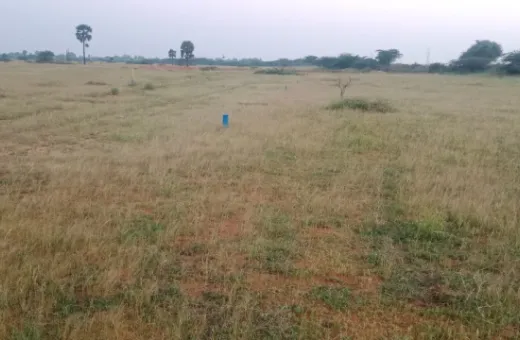  1 Acre Commercial Land for Sale in Nanguneri, Tirunelveli