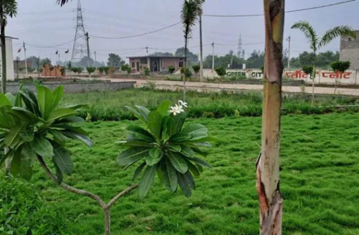  100 Sq. Yards Residential Plot for Sale in Gaur Green City, Ghaziabad