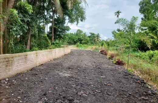  45 Bigha Residential Plot for Sale in Salt Lake, Kolkata