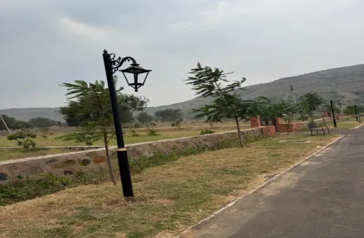  2 Bigha Agricultural/Farm Land for Sale in Naugaon, Alwar
