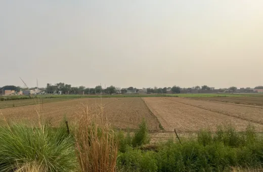  24 Bigha Agricultural/Farm Land for Sale in Iglas,Aligarh