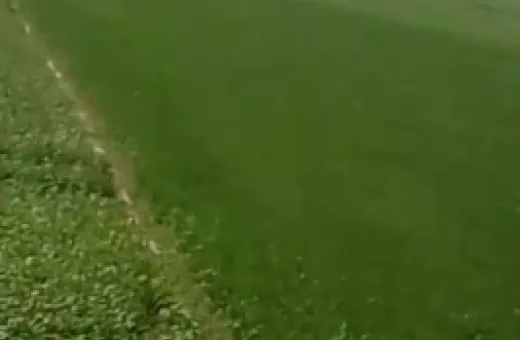  100 Bigha Agricultural/Farm Land for Sale in Khair, Aligarh