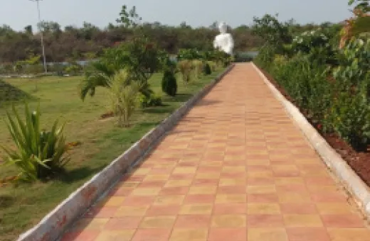  133 Sq. Yards Agricultural/Farm Land for Sale in Anandapuram, Visakhapatnam