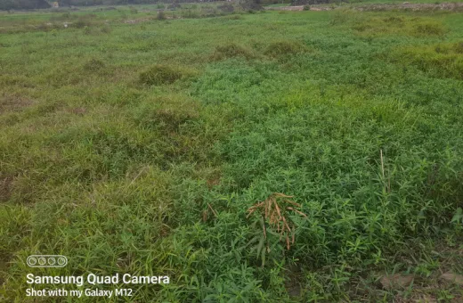  720 Sq.ft. Industrial Land for Sale in Joka, Kolkata