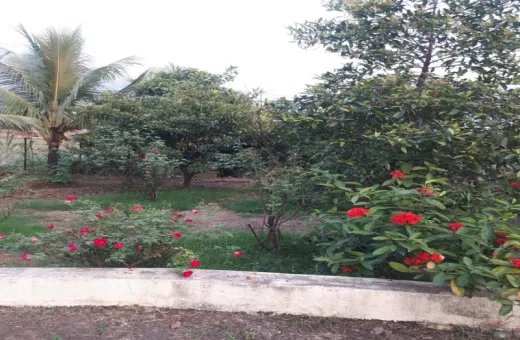 2 BHK 20 Guntha Farm House for Sale in Karjat, Mumbai