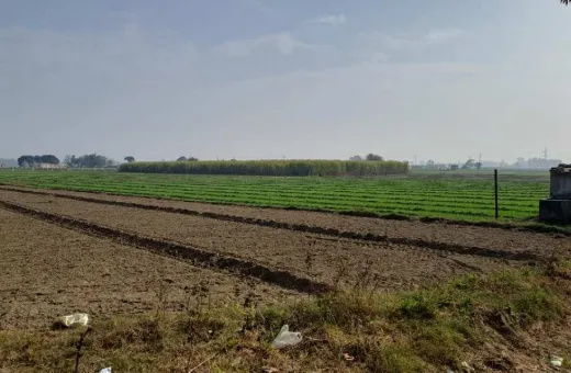  13 Acre Agricultural/Farm Land for Sale in Una Road, Hoshiarpur