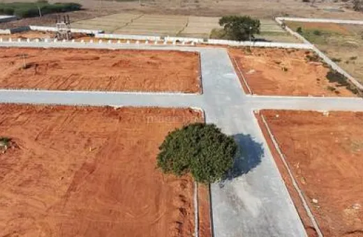  1000 Sq.ft. Residential Plot for Sale in Mopka, Bilaspur