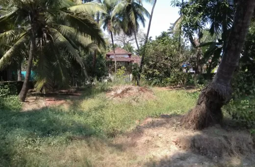  500 Sq. Meter Residential Plot for Sale in Guirim, North Goa, 