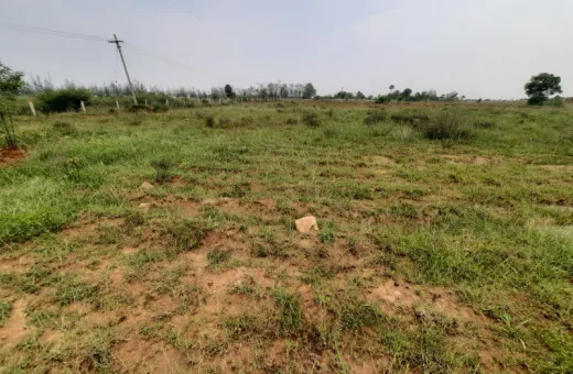  15 Acre Agricultural/Farm Land for Sale in Kallidaikurichi, Tirunelveli