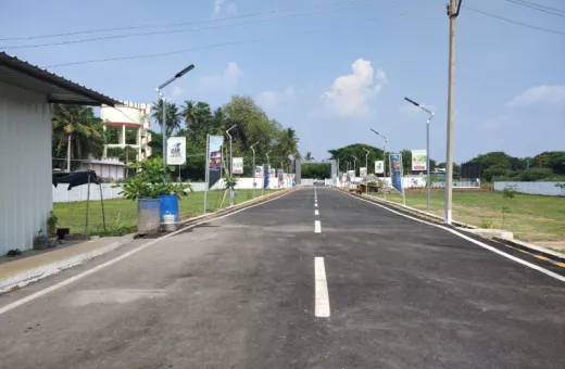  482 Cent Residential Plot for Sale in Vilangudi, Madurai