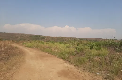  1089 Sq.ft. Agricultural/Farm Land for Sale in Uran, Navi Mumbai