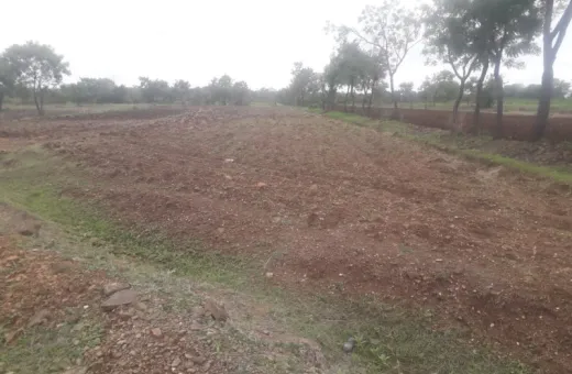  15 Acre Industrial Land for Sale in Urla, Raipur