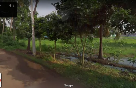  2 Acre Agricultural/Farm Land for Sale in Teachers Colony, Tanuku, West Godavari