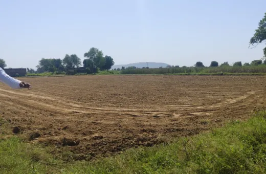  6 Bigha Agricultural/Farm Land for Sale in Naugaon, Alwar