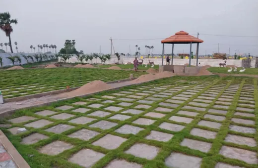  290 Sq. Yards Residential Plot for Sale in Ganguru, Vijayawada