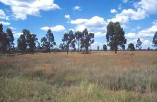  1300 Sq. Meter Industrial Land for Sale in Mahape, Navi Mumbai