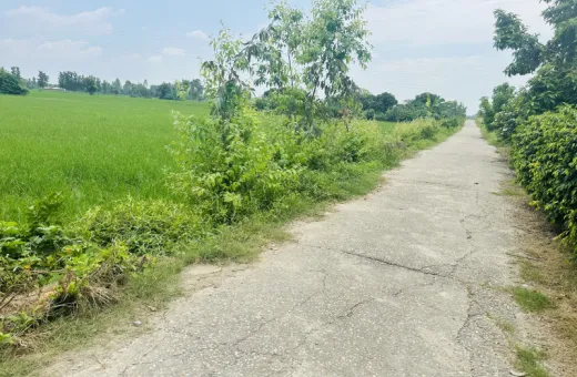  2 Acre Agricultural/Farm Land for Sale in Bajpur, Udham Singh Nagar