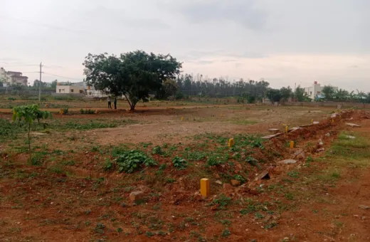  1200 Sq.ft. Commercial Land for Sale in Phase 2, Electronic City, Bangalore