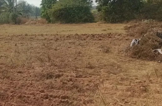  44 Acre Agricultural/Farm Land for Sale in Dodda,Banaswadi,Bangalore