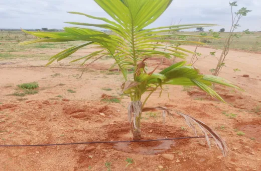  605 Sq. Yards Agricultural/Farm Land for Sale in KPHB 3rd Phase, Kukatpally, Hyderabad