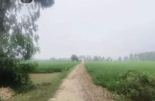  66 Bigha Commercial Land for Sale in Siana, Bulandshahr