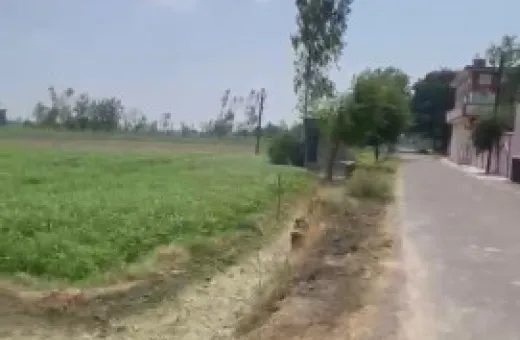  30 Bigha Agricultural/Farm Land for Sale in Simbhaoli, Hapur
