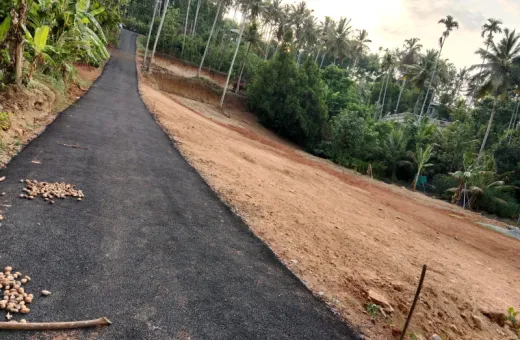  39 Cent Residential Plot for Sale in Kattappana, Idukki