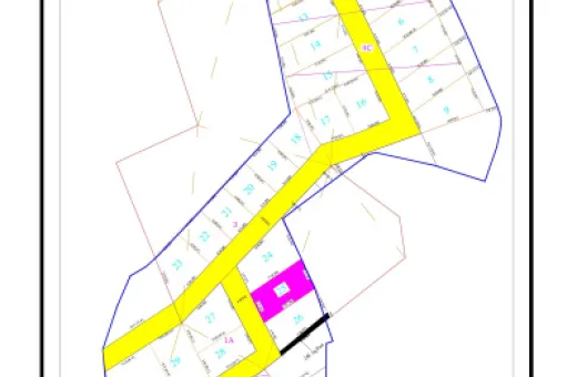 Alamelumangapuram, Vellore