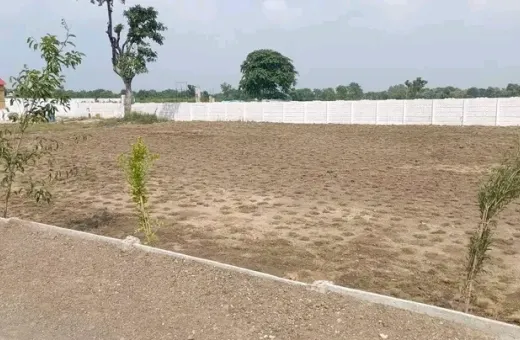  5000 Sq.ft. Agricultural/Farm Land for Sale in Dhamna, Nagpur