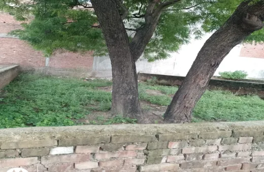  1800 Sq.ft. Residential Plot for Sale in Maswanpur, Kanpur