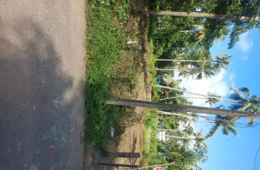  20 Cent Residential Plot for Sale in Irinjalakuda, Thrissur