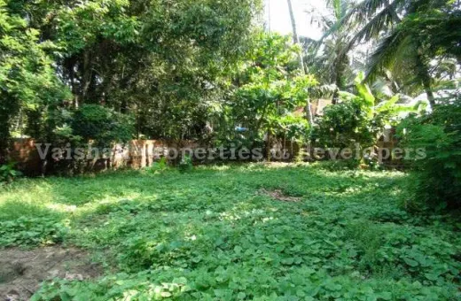  6 Cent Residential Plot for Sale in Mokavoor, Kozhikode