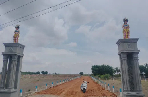  260 Cent Residential Plot for Sale in Kovilpatti, Thoothukudi