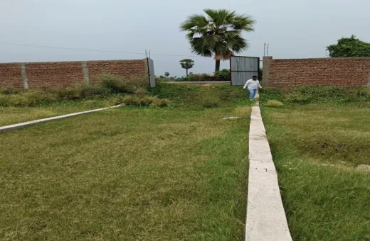 Bela, Patna