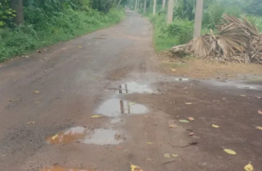  1200 Sq.ft. Residential Plot for Sale in Fatwah, Patna