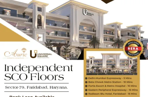  544 Sq.ft. Commercial Land for Sale in Sector 79 Faridabad