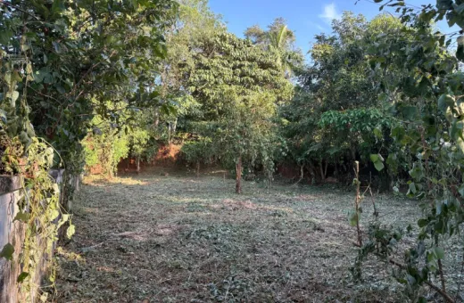  10 Cent Residential Plot for Sale in Velappaya, Thrissur