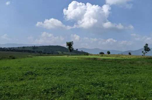  3 Acre Residential Plot for Sale in Sathyamangalam, Erode