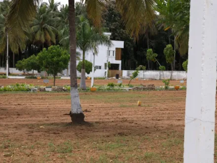  1200 Sq.ft. Residential Plot for Sale in Kaggalipura, Bangalore