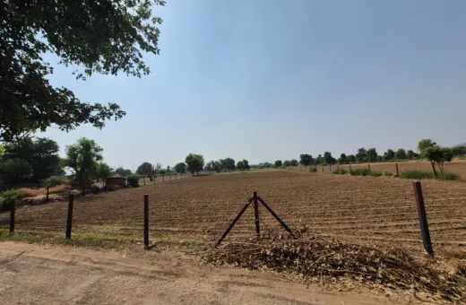  7 Bigha Agricultural/Farm Land for Sale in Naugaon, Alwar