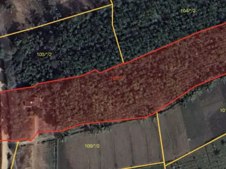  2 Acre Agricultural/Farm Land for Sale in Nidige, Shimoga