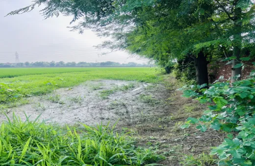  5454 Sq.ft. Agricultural/Farm Land for Sale in Mehatpur, Jalandhar