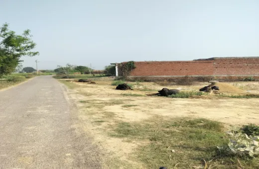 Khatu, Sikar