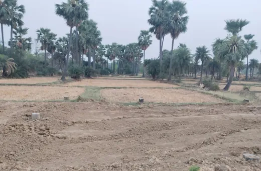  1360 Sq.ft. Residential Plot for Sale in Bodh Gaya